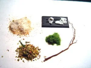 Photo: Autumn bases - Tutorial