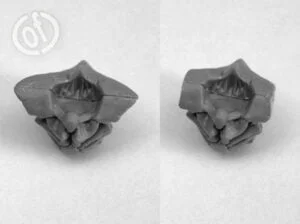Photo: How to make a biovore - Tutorial