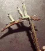 how-to-make-candles-tutorial-6