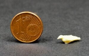 Tabletop World Review (14)