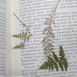 How to paint Rasputina the Ice Witch (Alternative) - tutorial